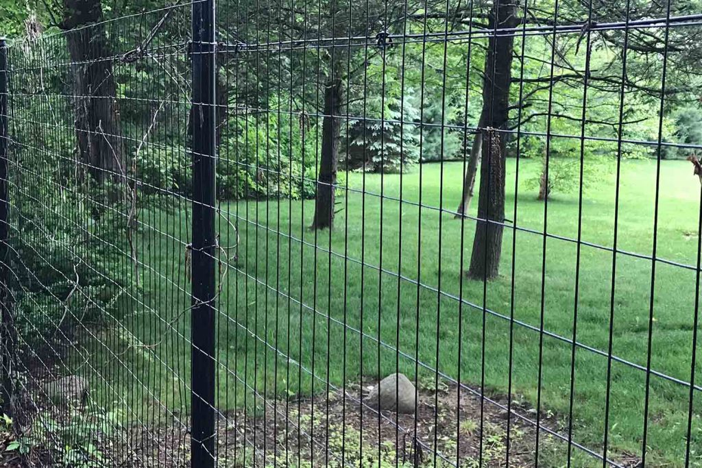 Deer Fencing Fence Installation Red Fox Fence, Inc.