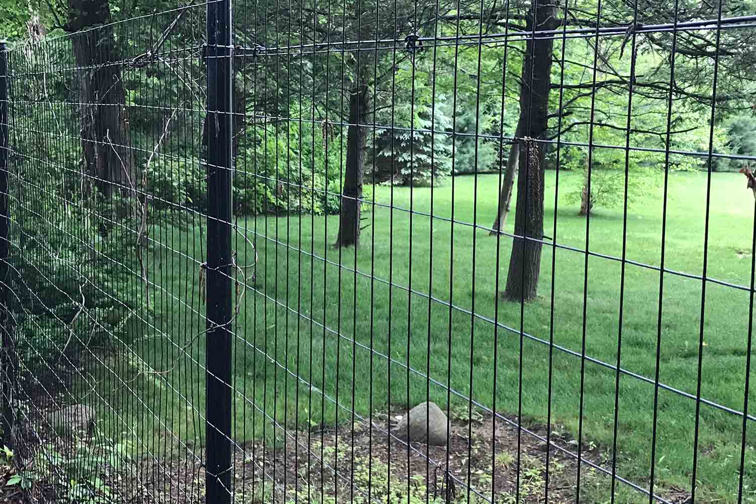 Red Fox Fence deer fencing